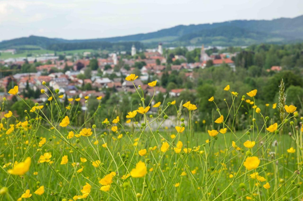 Eistobel Und Felderhalde Apartment Isny im Allgau Bagian luar foto